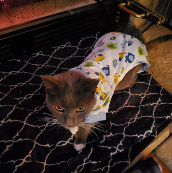 Bundle & Save.. - Picture 3 of 15